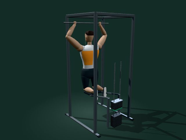 Illustrative model of the assisted pull-up machine