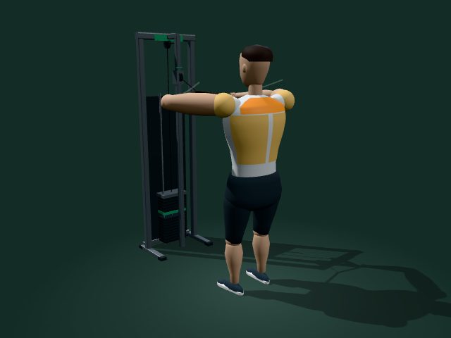 Modelo ilustrativo de face pull con cuerda