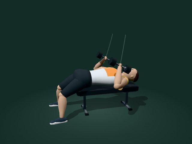 Illustrative model of the dumbbell bench press