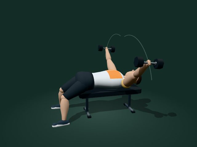 Modelo ilustrativo de aperturas de pecho con mancuernas