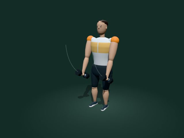Illustrative model of the dumbbell front raise