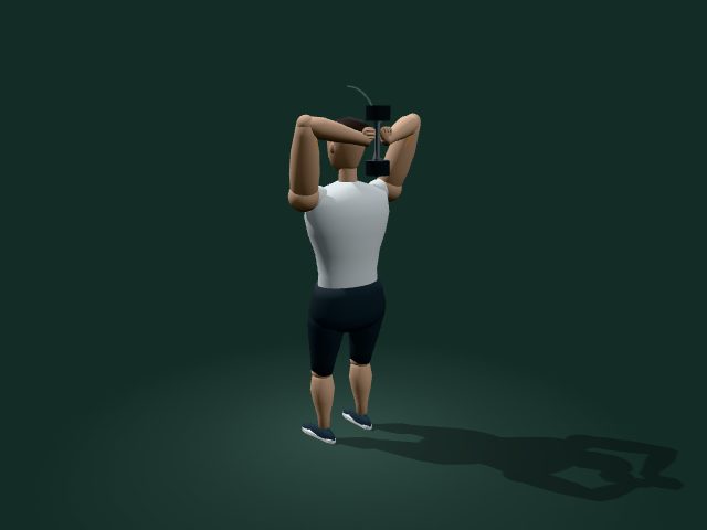 Illustrative model of the dumbbell overhead triceps extension