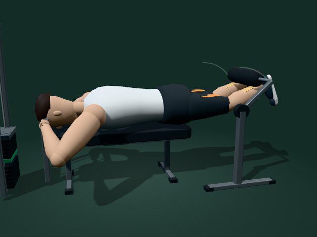 Illustrative model of the lying machine leg curl