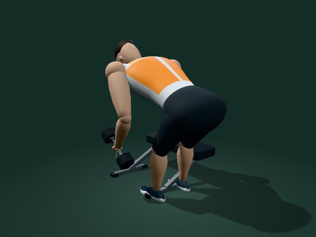 Illustrative model of the one-arm dumbbell row