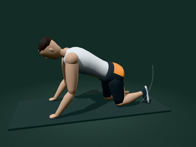 Illustrative model of the quadruped hip extension