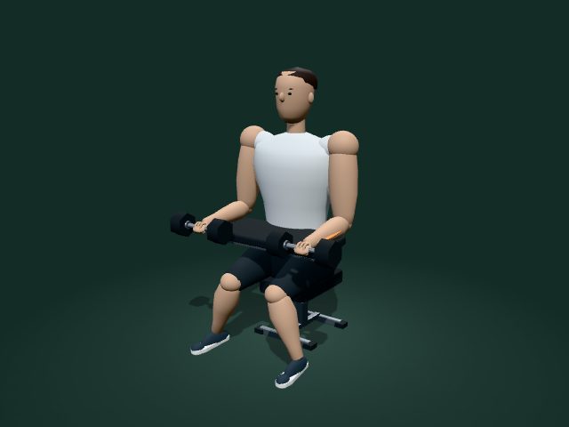 Modelo ilustrativo de flexión de muñecas con mancuernas sentado