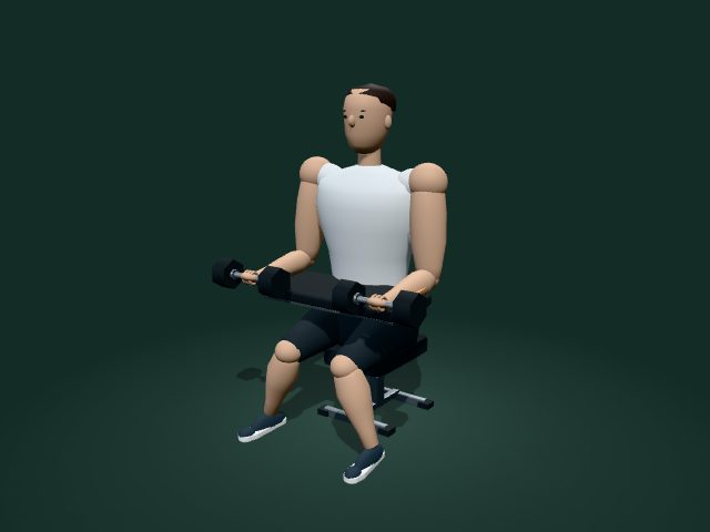 Modelo ilustrativo de extensión de muñecas con mancuernas sentado