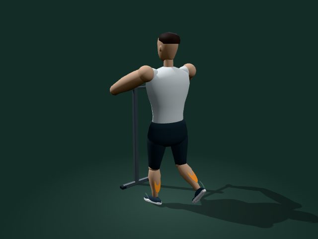 Illustrative model of the supported single-leg calf raise