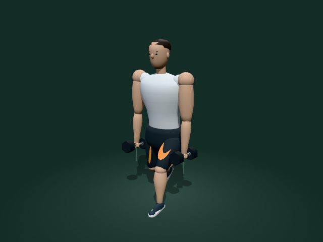 Illustrative model of the dumbbell split squat